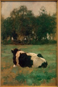 Vaca deitada